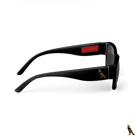 Sunglasses (black) with Horus Logo