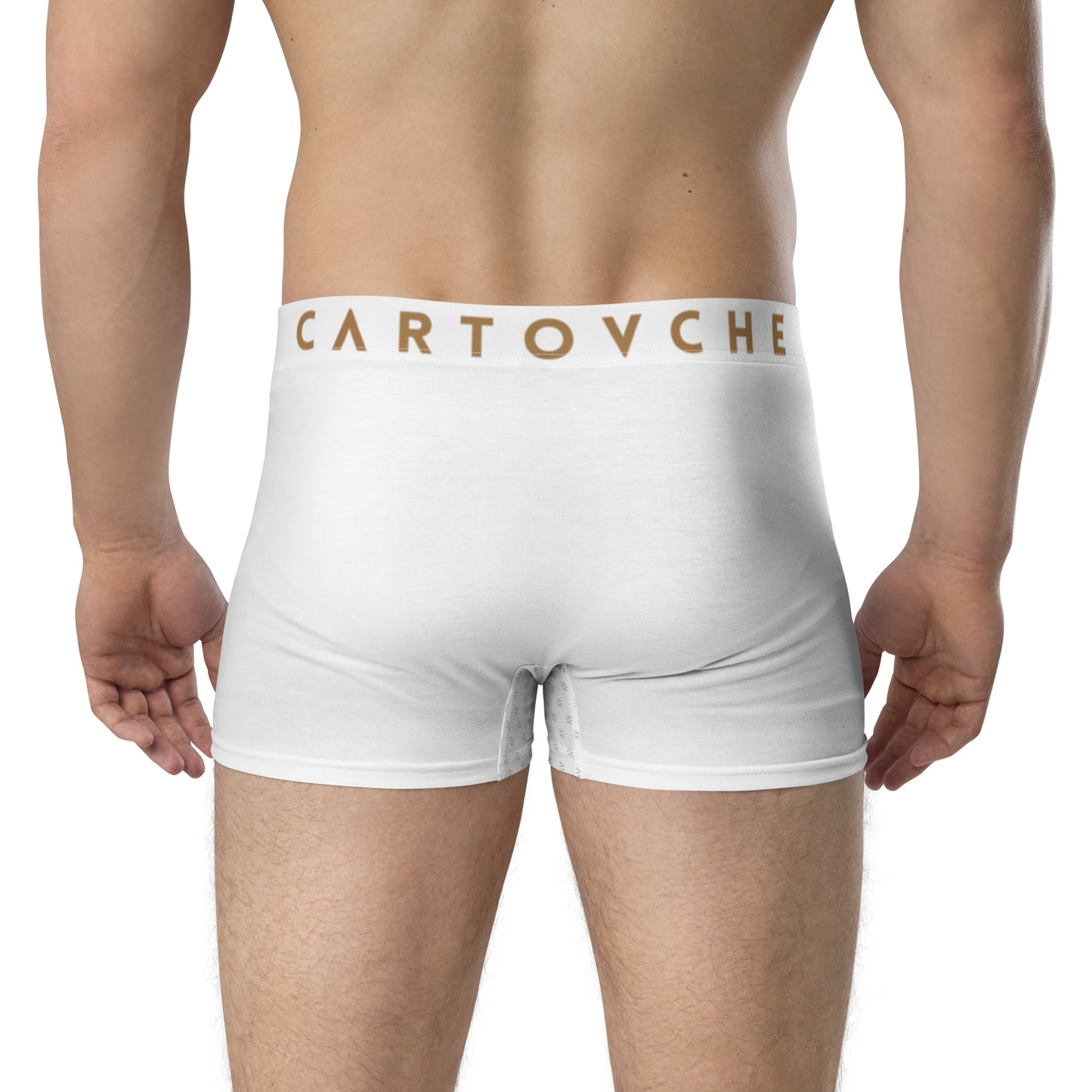 Cartouche Boxer Briefs (White)