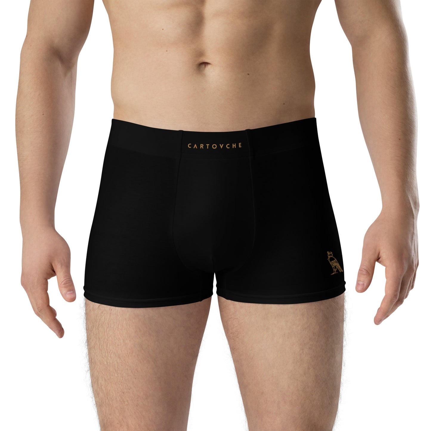 Cartouche Boxer Briefs (Black)