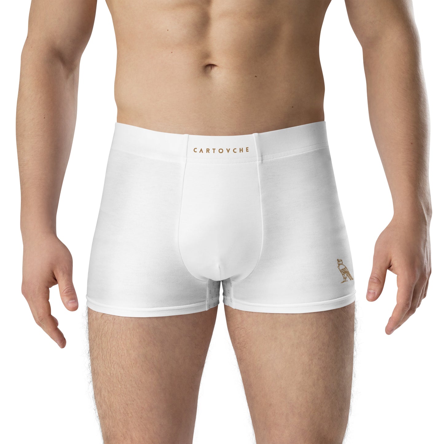 Cartouche Boxer Briefs (White)