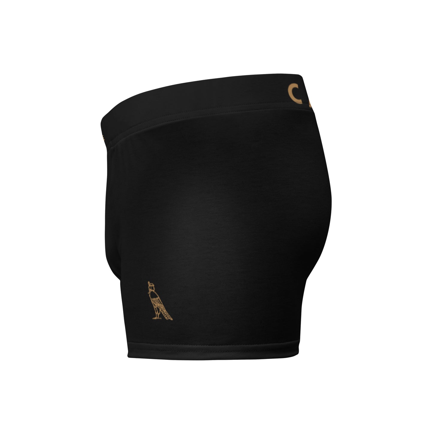 Cartouche Boxer Briefs (Black)