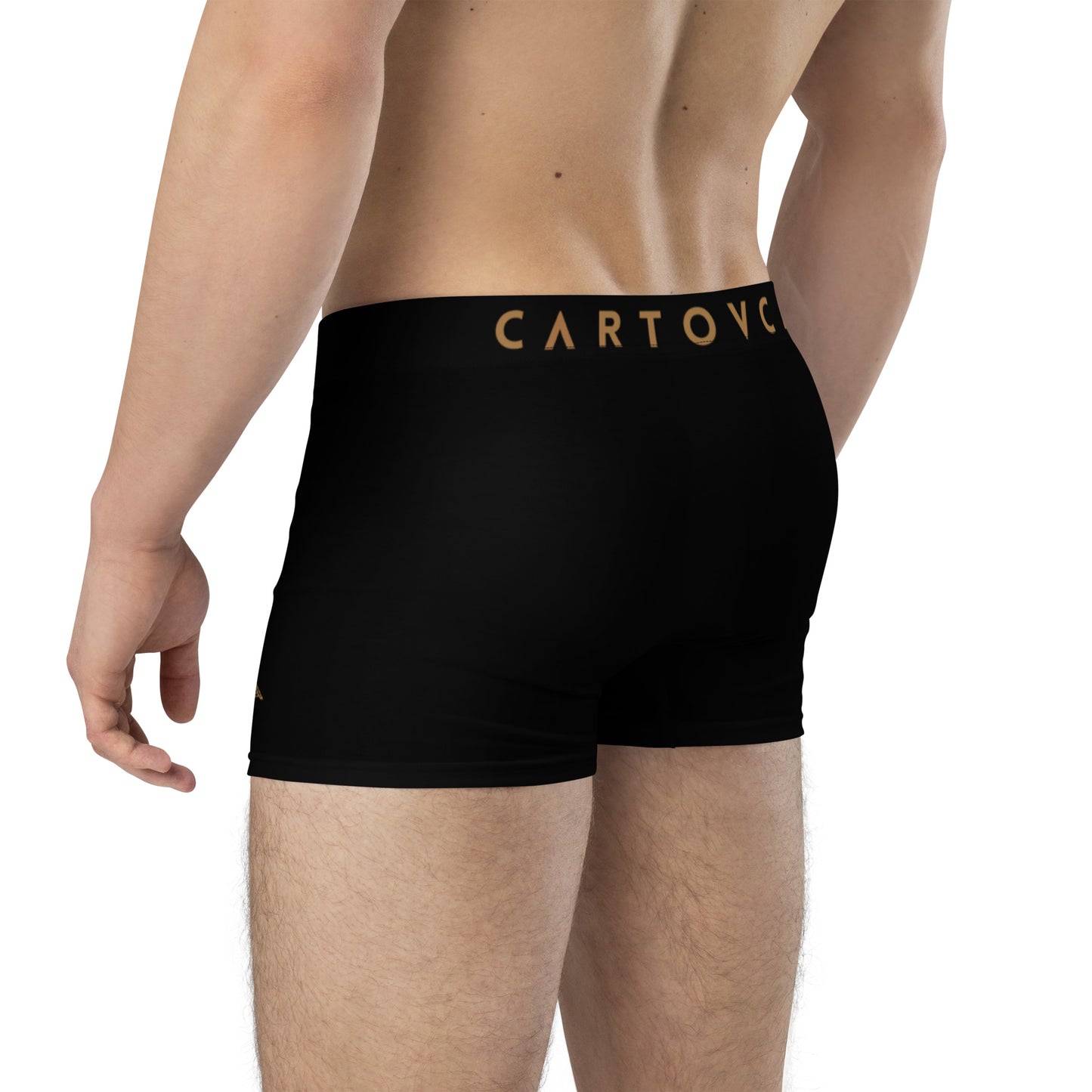 Cartouche Boxer Briefs (Black)