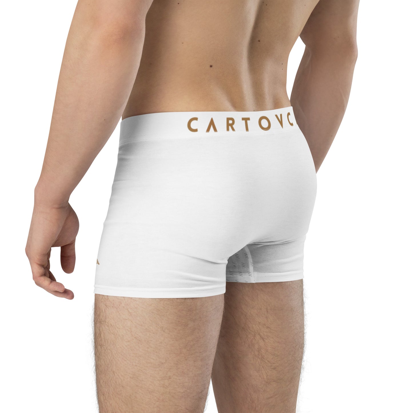 Cartouche Boxer Briefs (White)