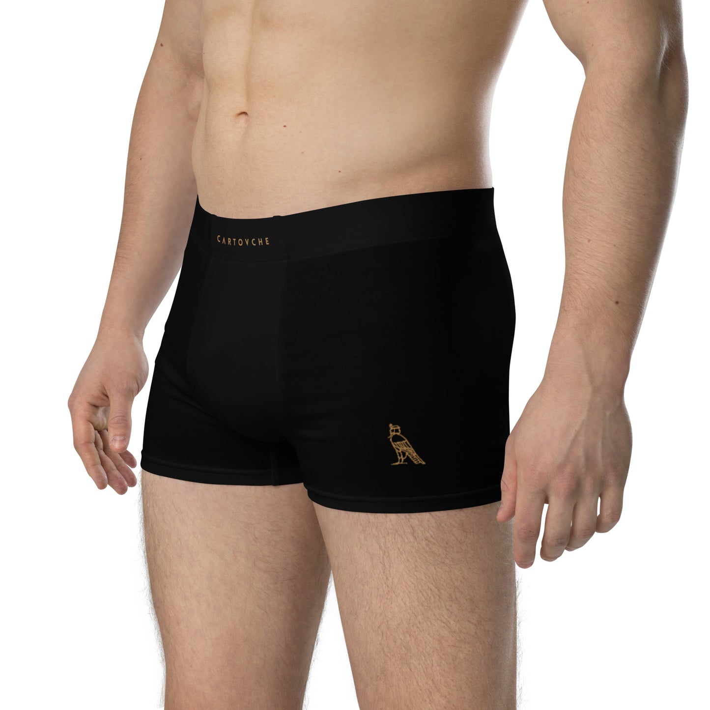 Cartouche Boxer Briefs (Black)