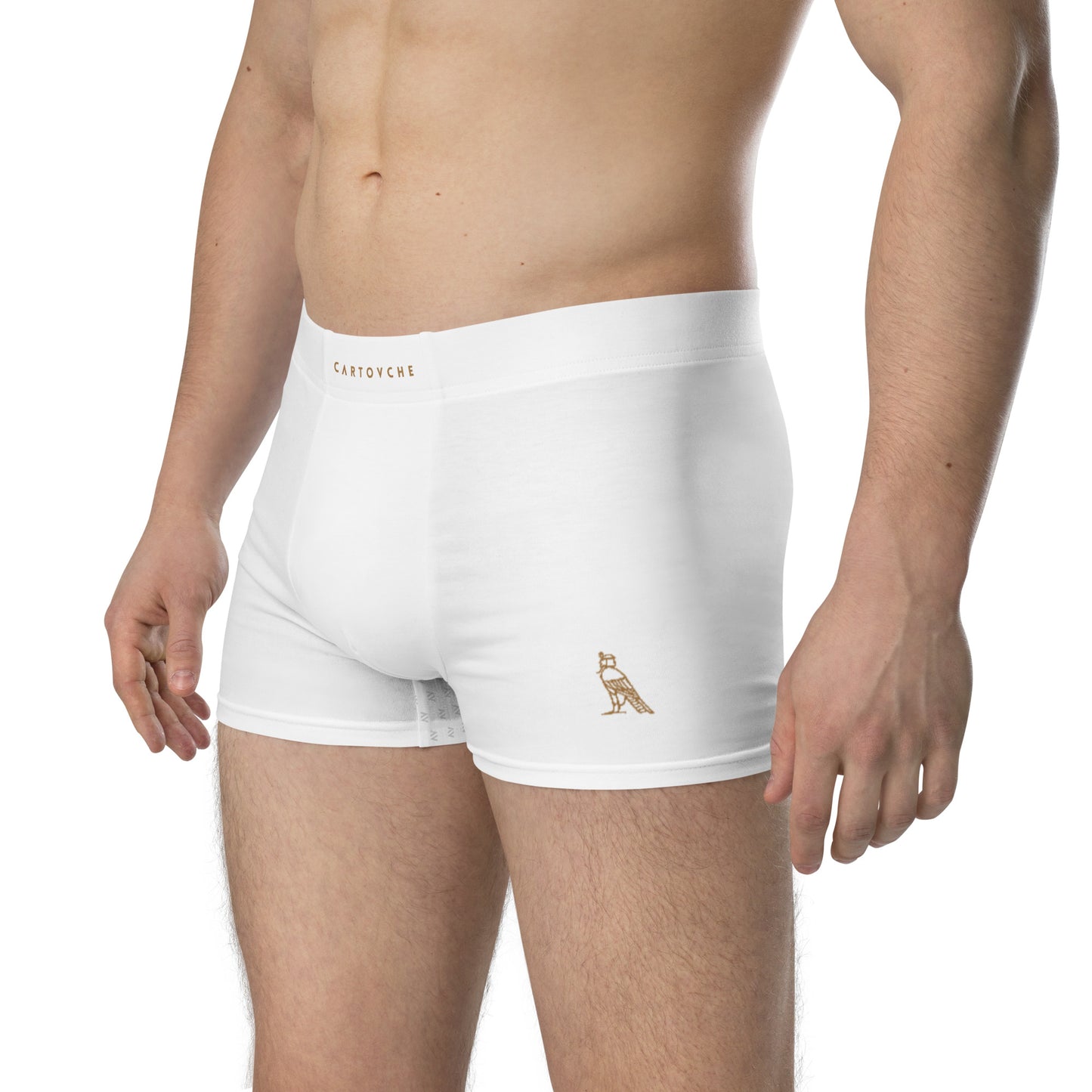 Cartouche Boxer Briefs (White)