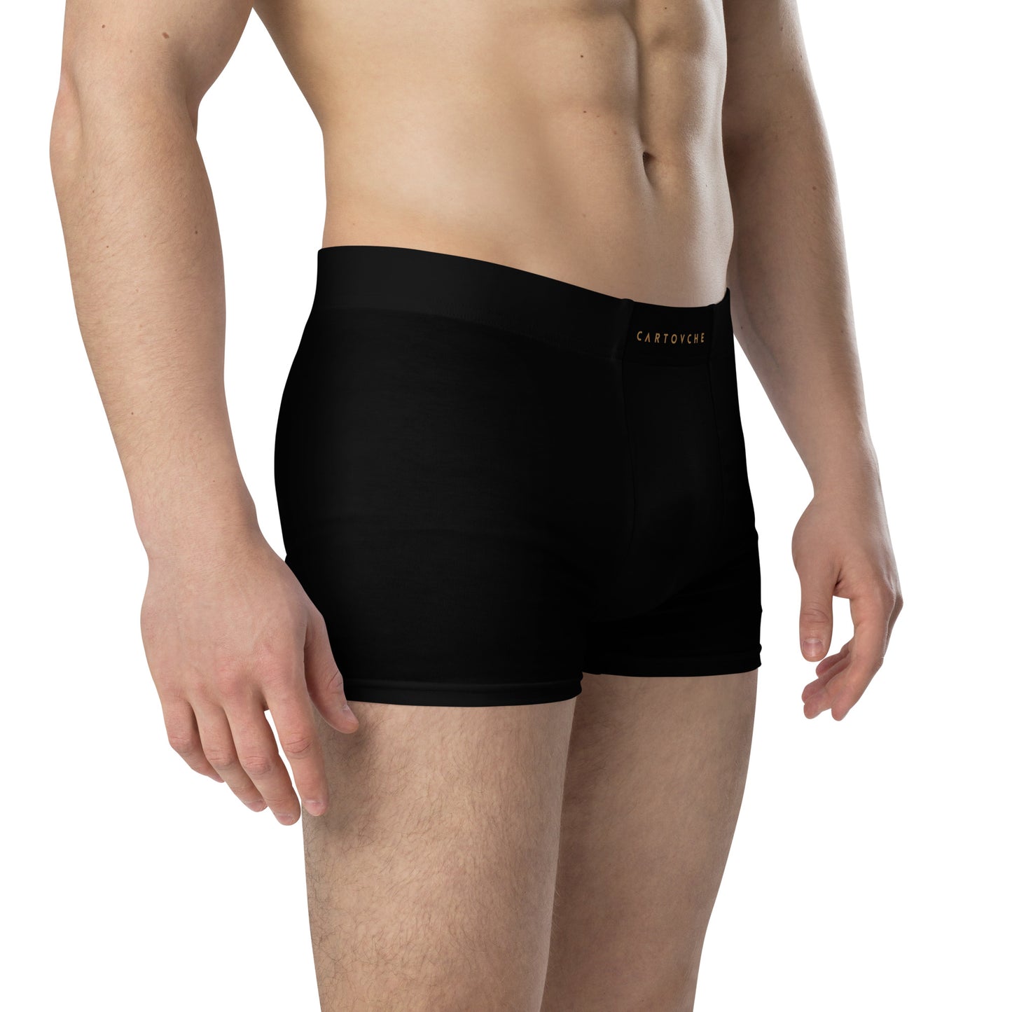 Cartouche Boxer Briefs (Black)