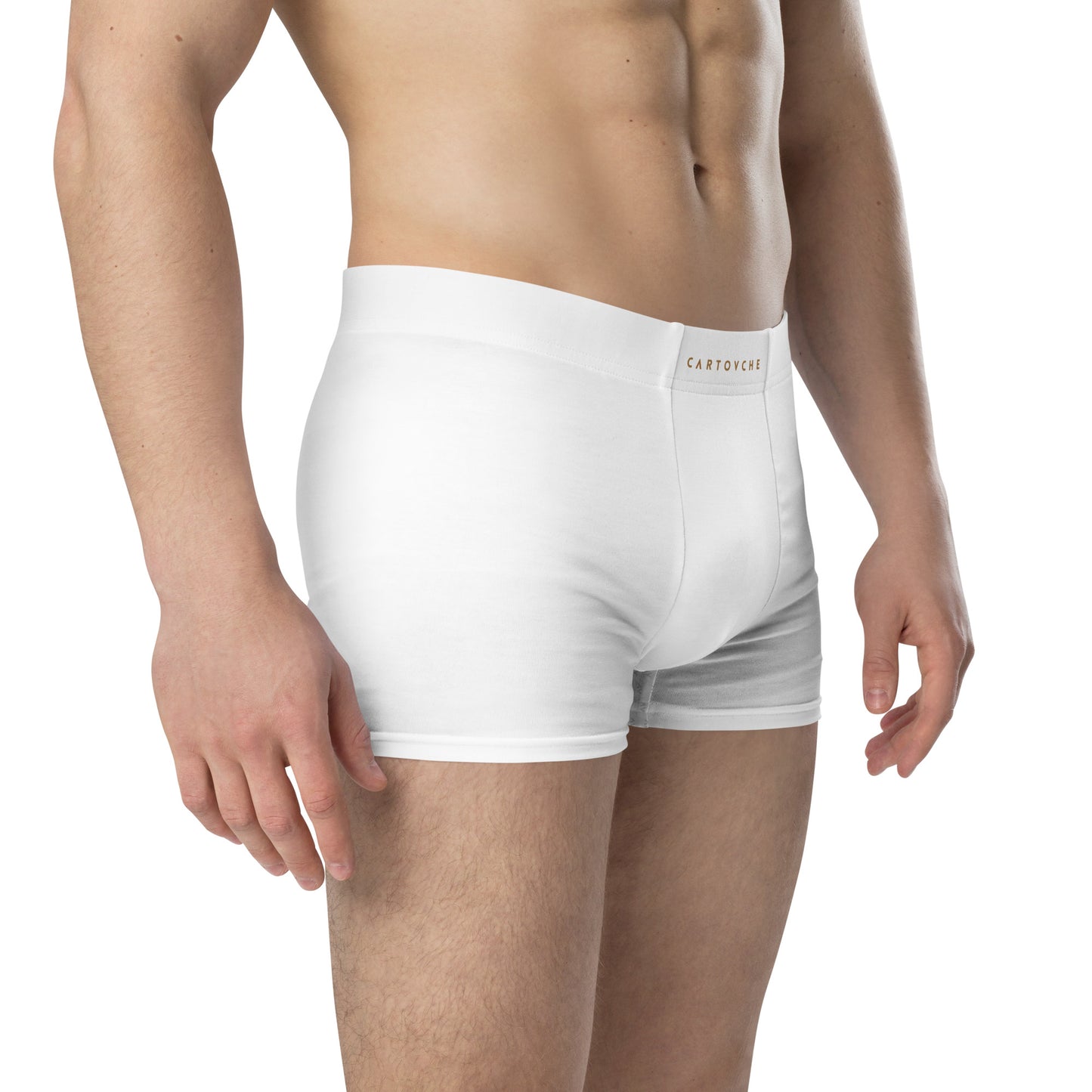 Cartouche Boxer Briefs (White)