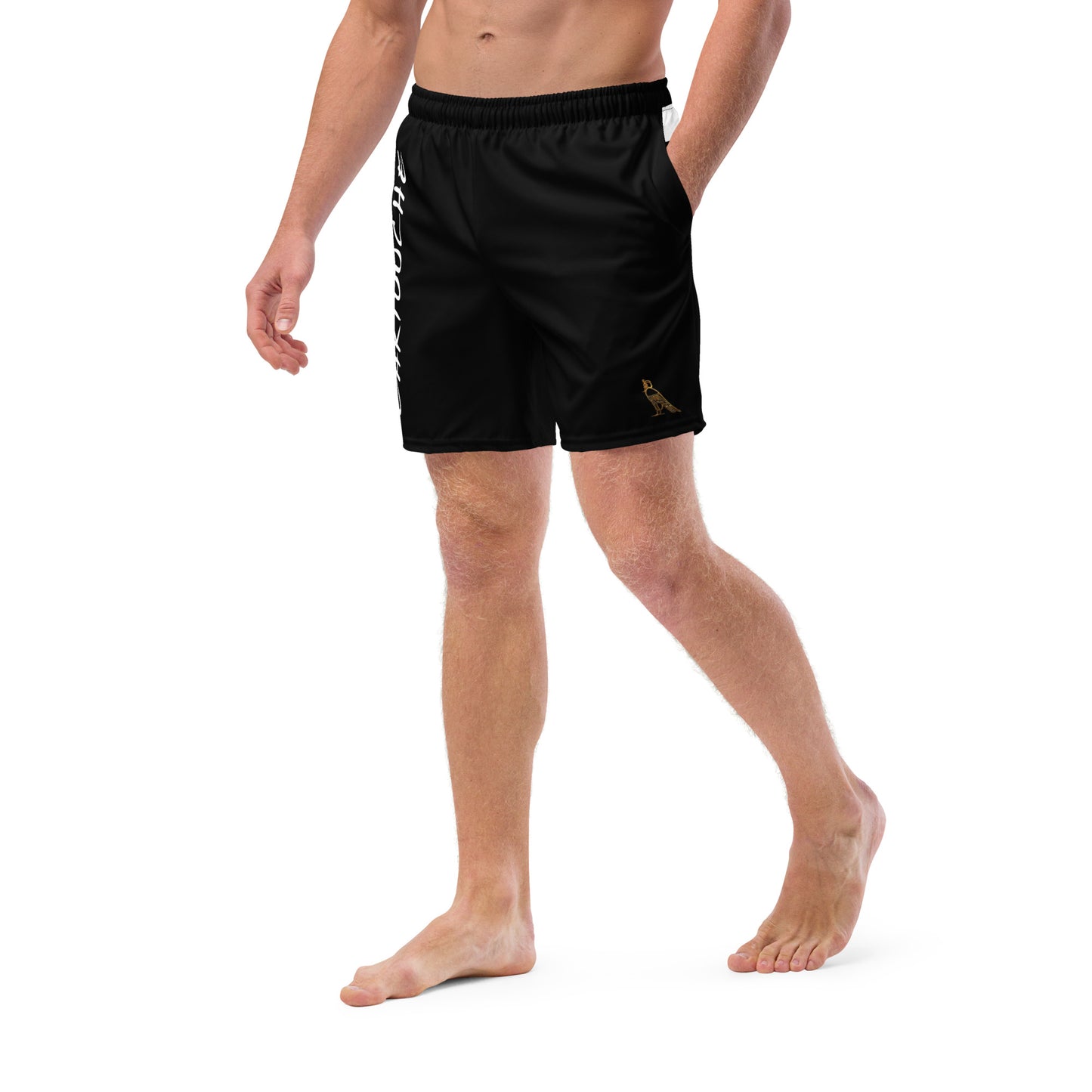 Men's Swim Trunks - Cartouche Logo (Black with White Stripe)