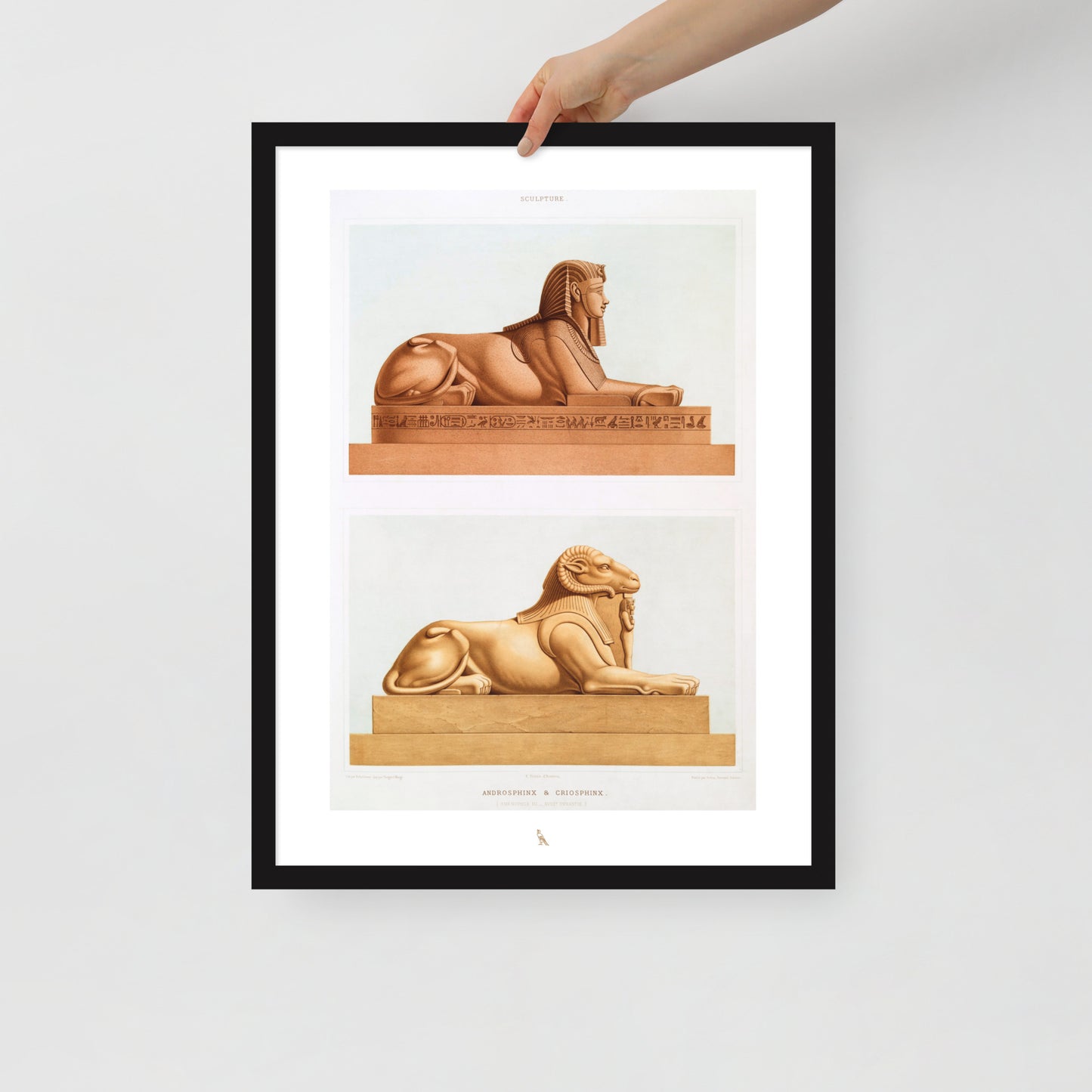 'Androsphinx & Criosphinx'  | 18" x 24" Wood Framed Poster