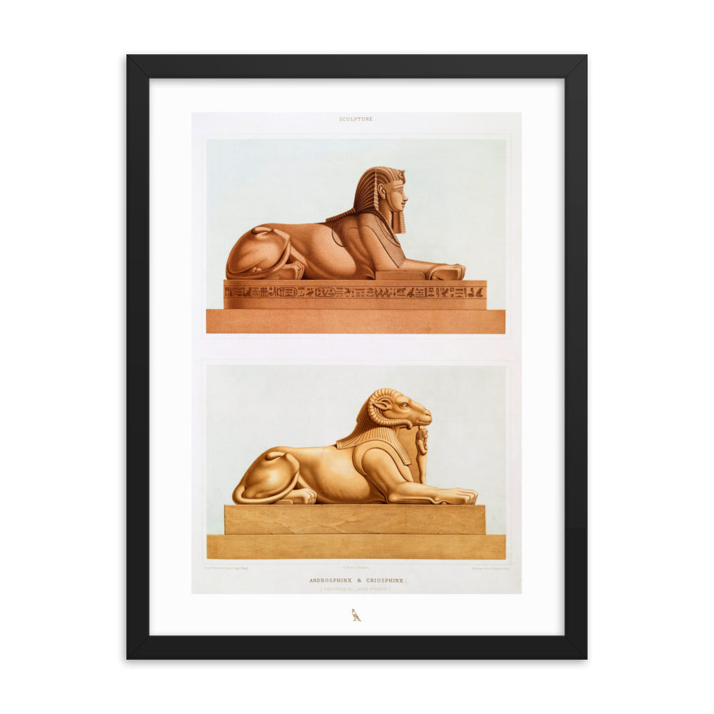 'Androsphinx & Criosphinx'  | 18" x 24" Wood Framed Poster