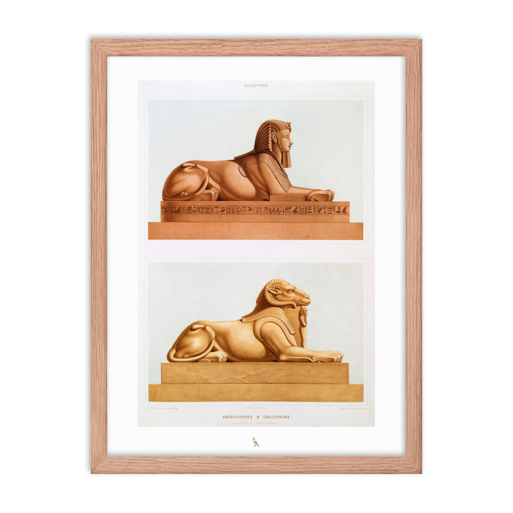 'Androsphinx & Criosphinx'  | 18" x 24" Wood Framed Poster