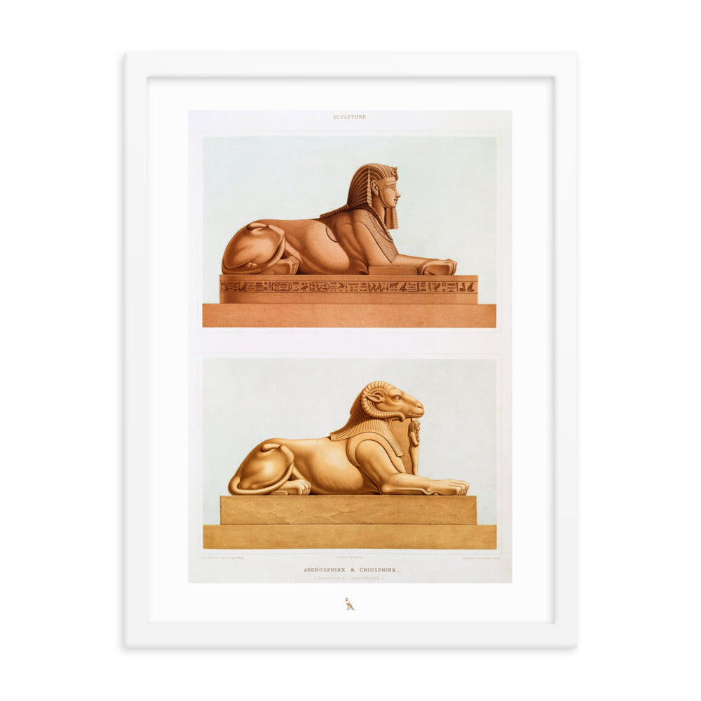 'Androsphinx & Criosphinx'  | 18" x 24" Wood Framed Poster